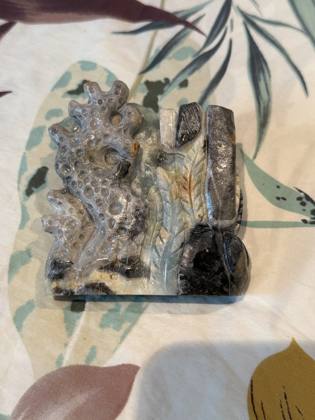 Caribbean Calcite Underwater Scene - Carving