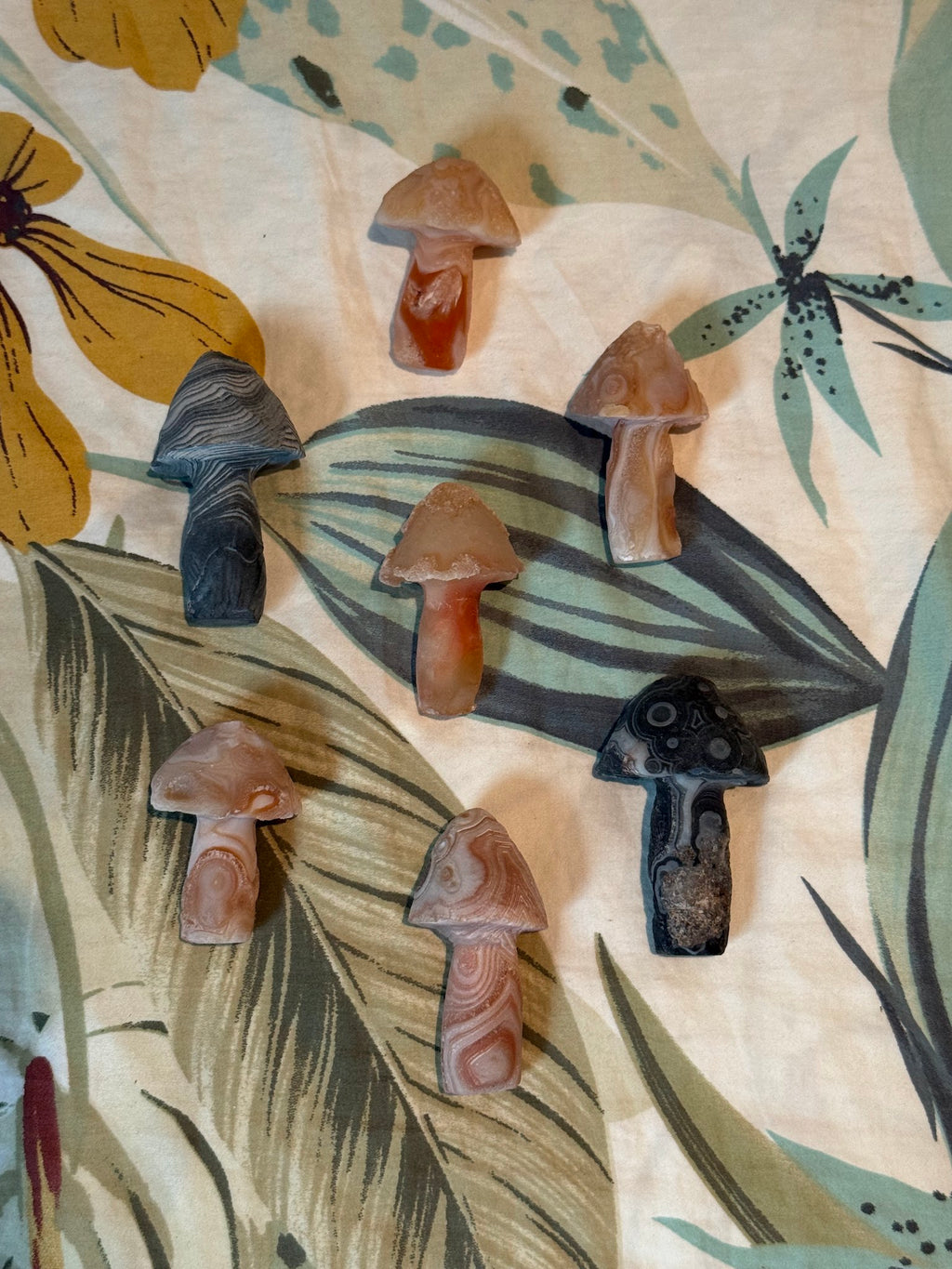 Mixed Mushroom Carvings