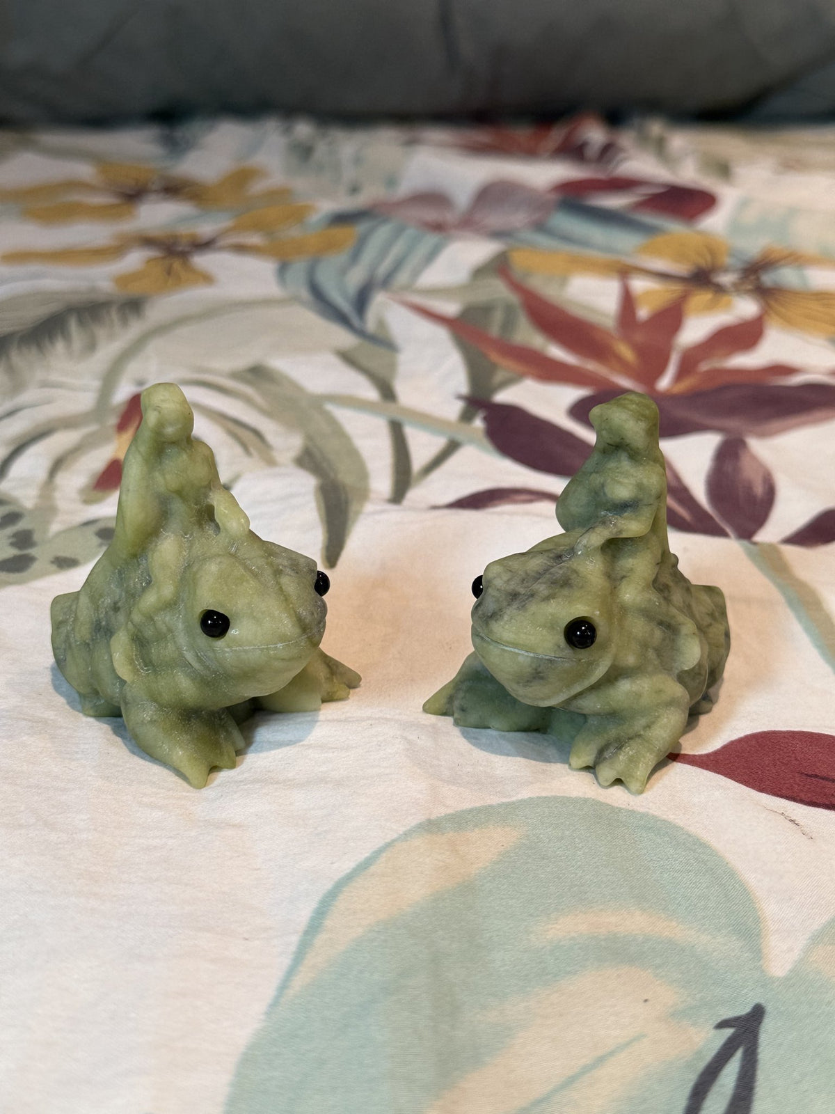 Green jade lizard