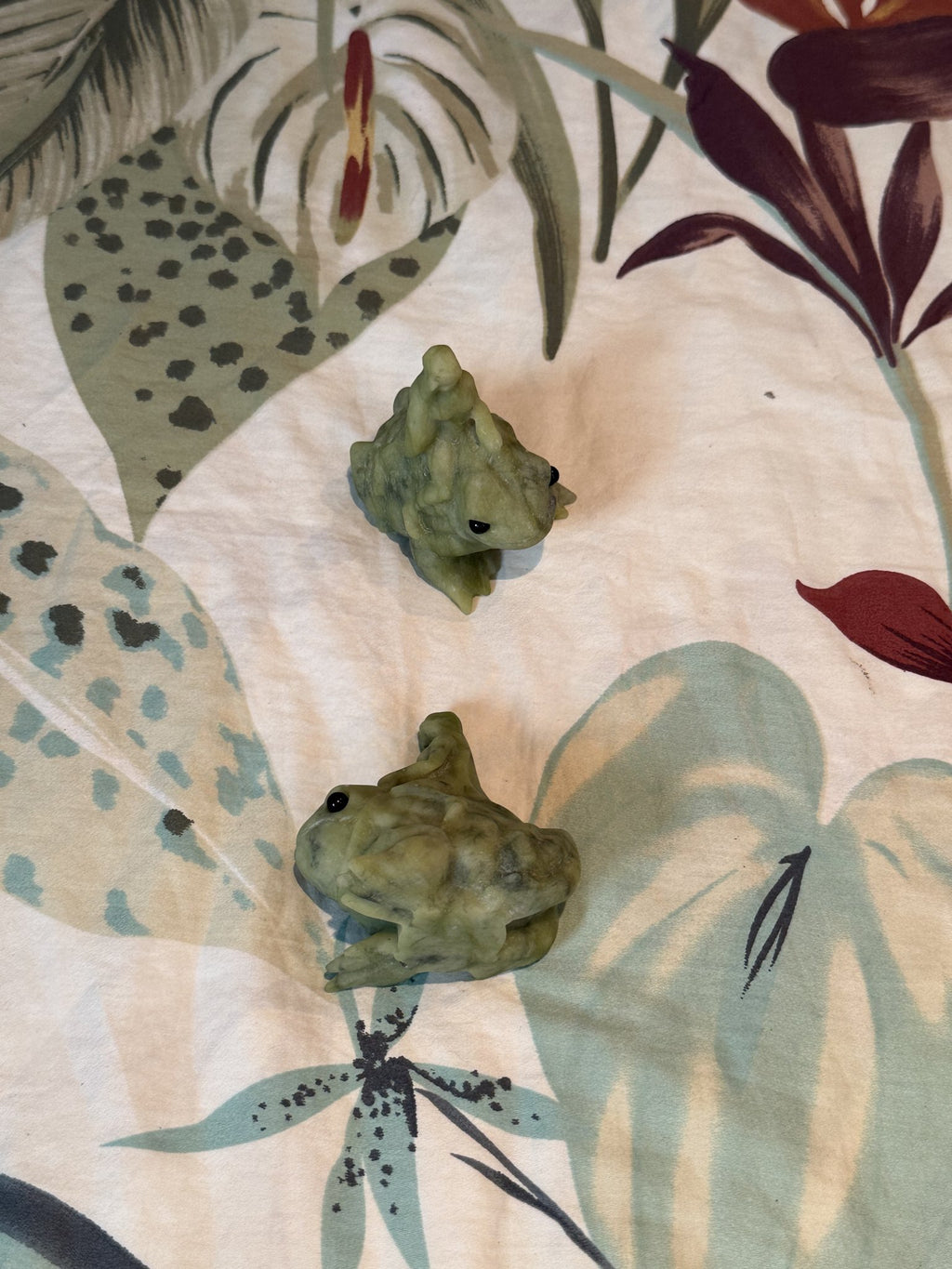 Green jade lizard