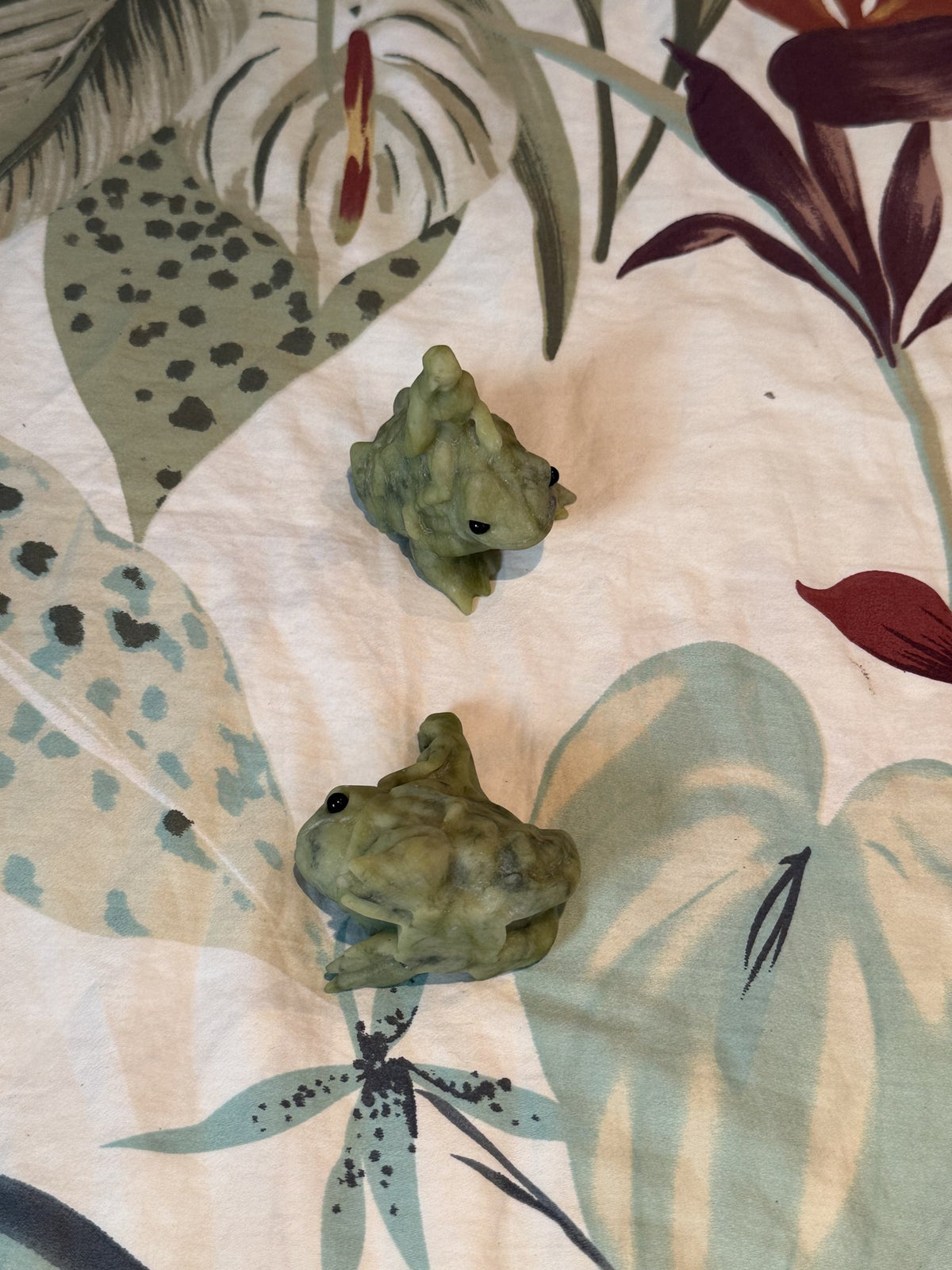 Green jade lizard