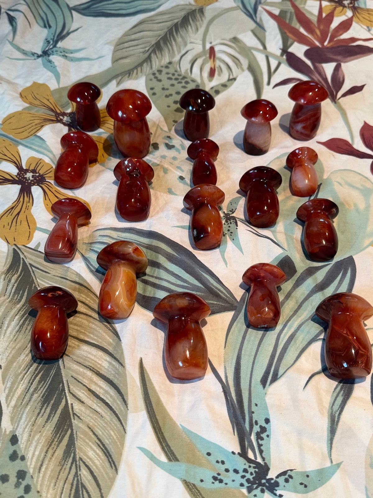 Carnelian Mushrooms (2 Kg Bulk)