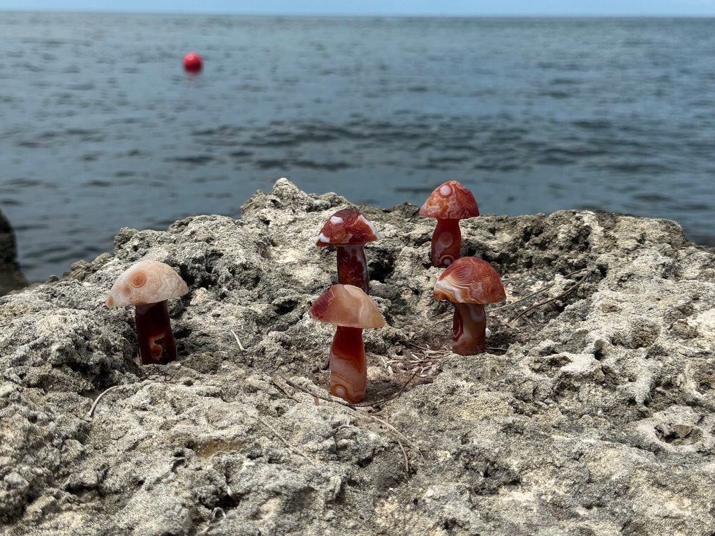 Gobi Agate Mushroom Carving