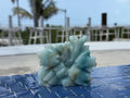 Small Ocean Calcite Fish/Reef Carving