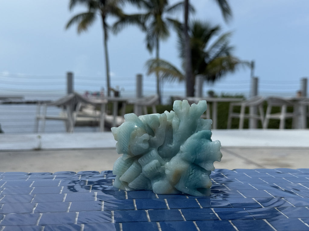 Small Ocean Calcite Fish/Reef Carving