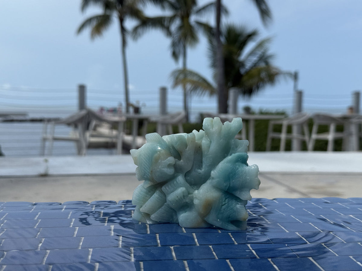 Small Ocean Calcite Fish/Reef Carving