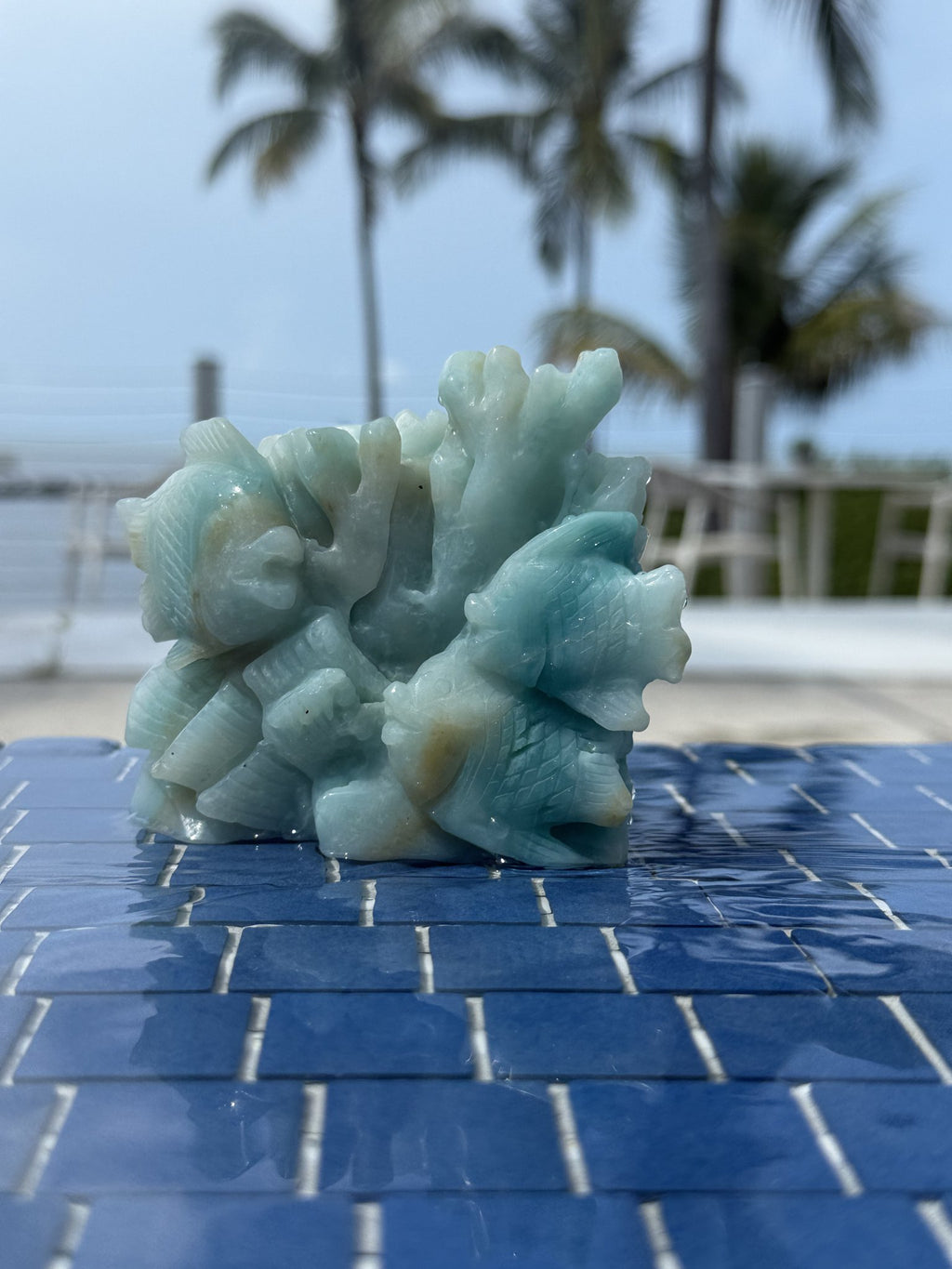 Small Ocean Calcite Fish/Reef Carving