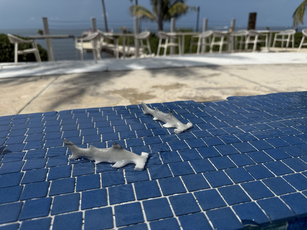 Taiji Shark Carving