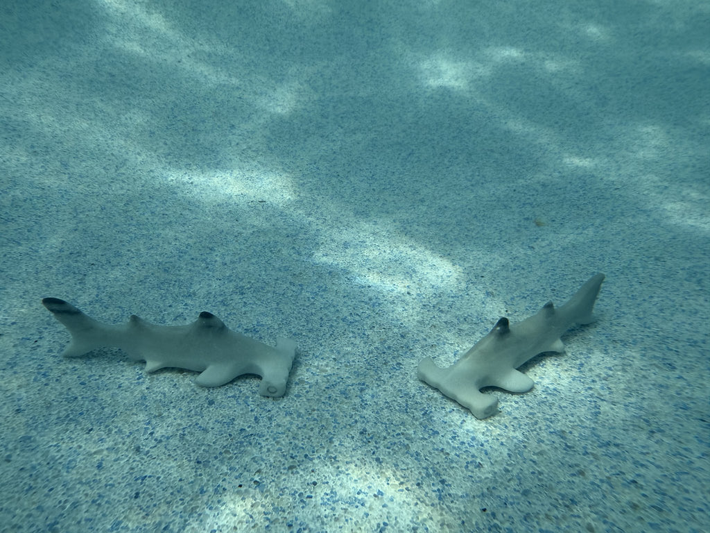 Taiji Shark Carving