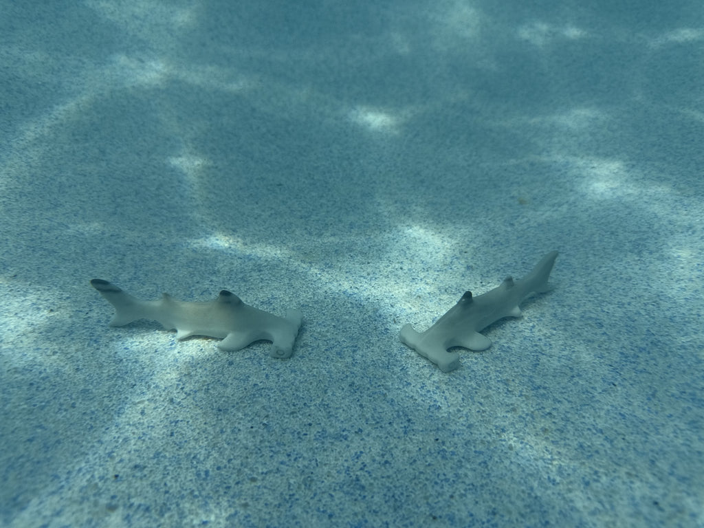 Taiji Shark Carving