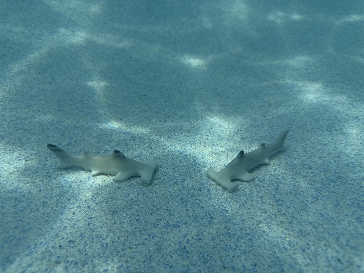Taiji Shark Carving