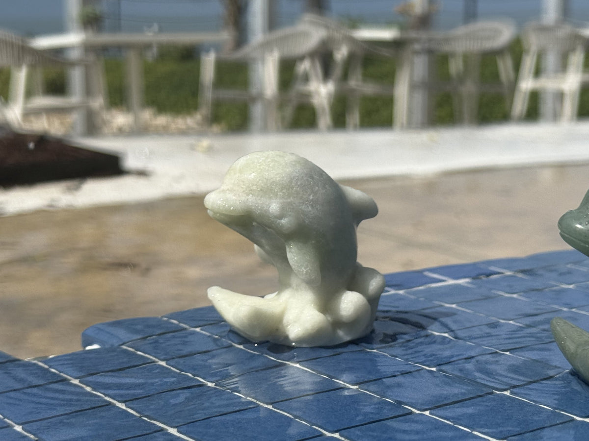 Crystal dolphins