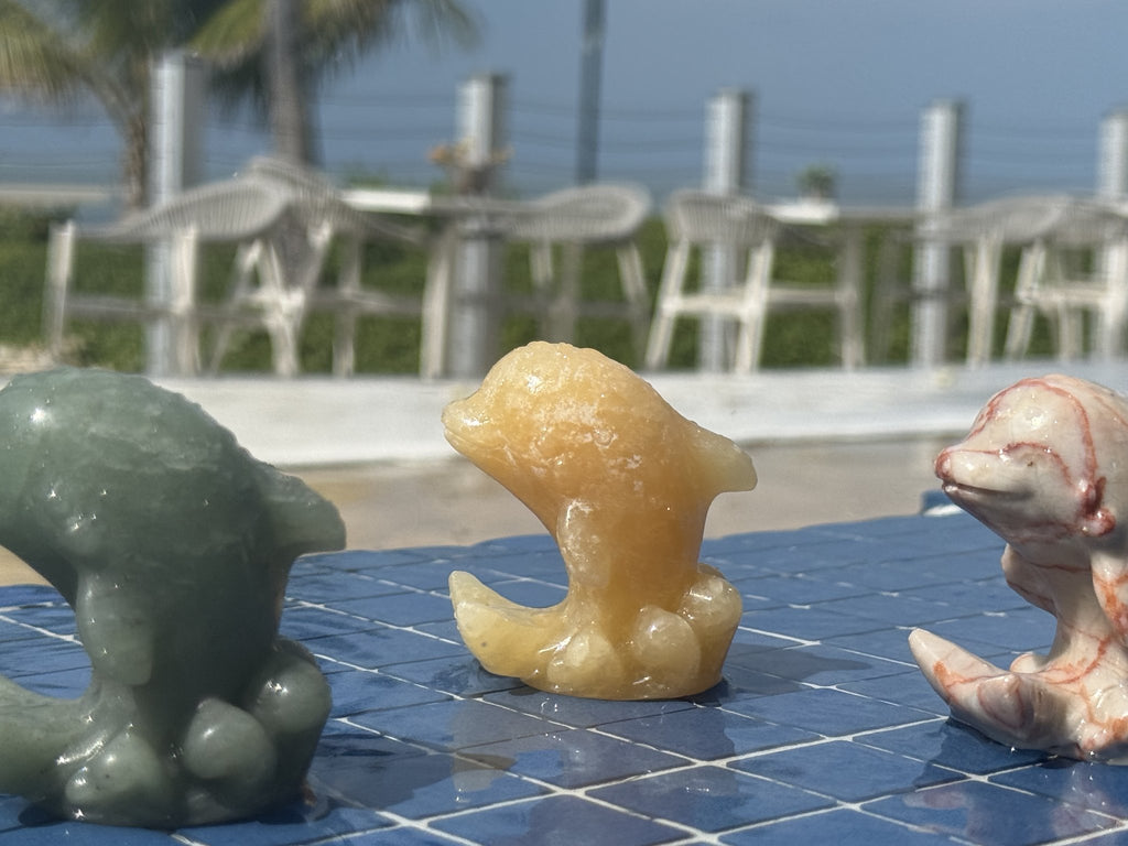 Crystal dolphins