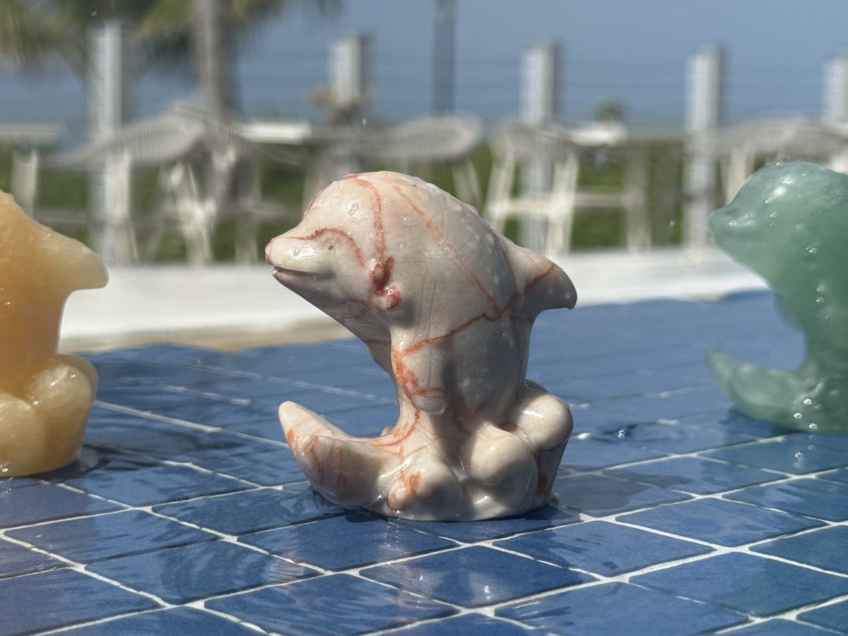 Crystal dolphins