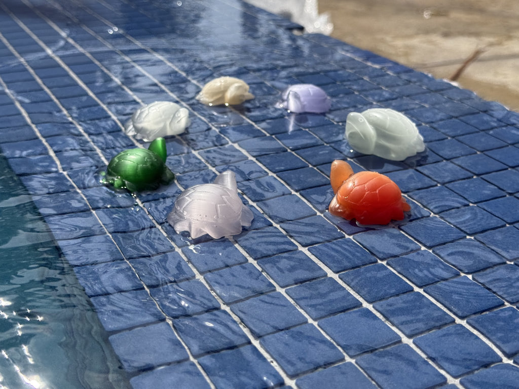 Cat's Eye Clam Carving