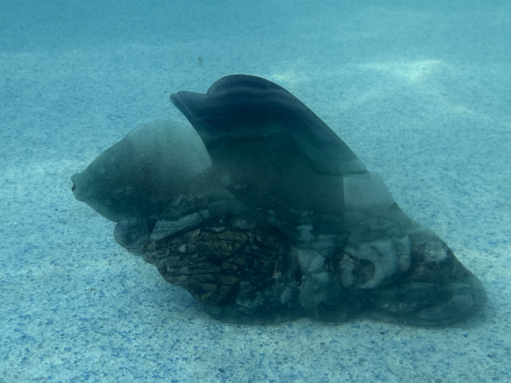 Fluorite dolphin (large)