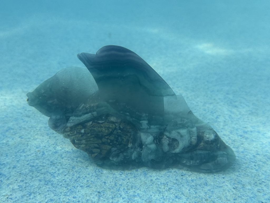 Fluorite dolphin (large)