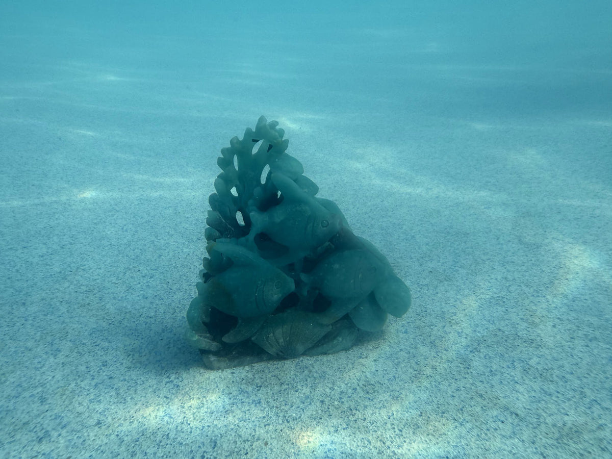 Caribbean Calcite Fish School Pyramid Carving