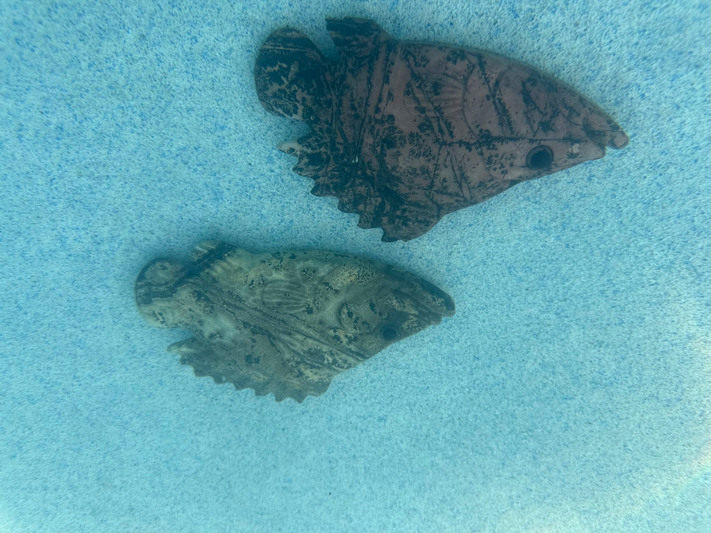 Picture Jasper Fish Carving