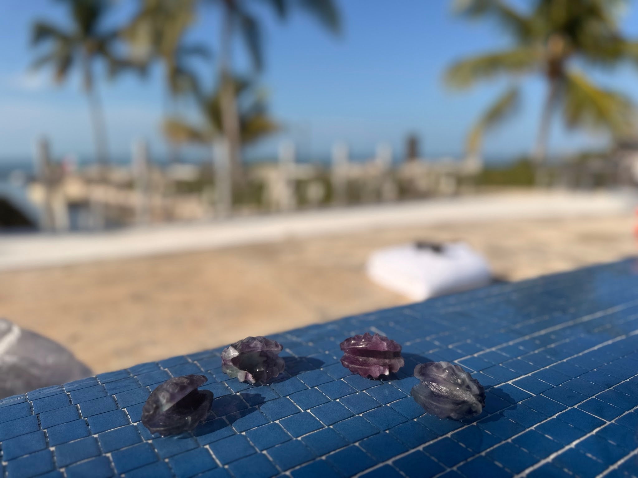 Fluorite Clam Carving