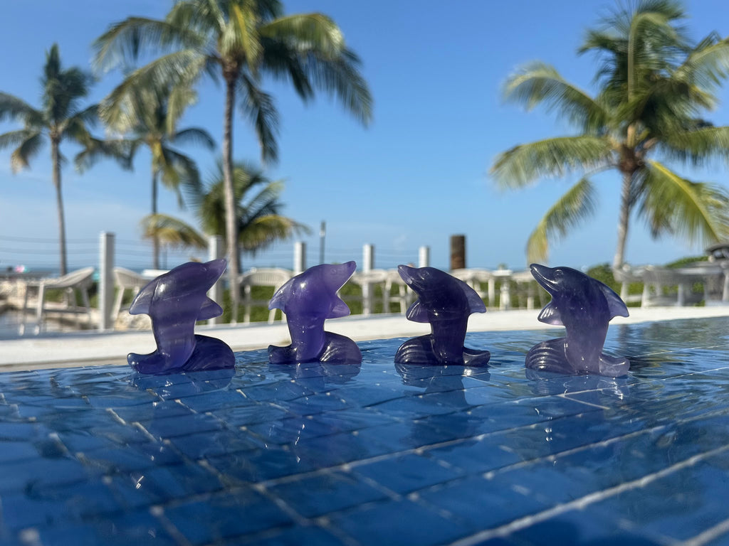 Fluorite Dolphin Carving