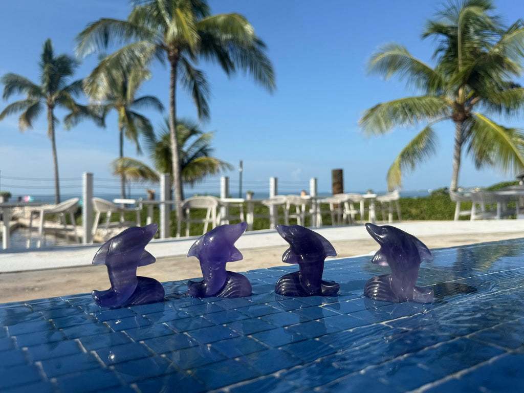 Fluorite Dolphin Carving