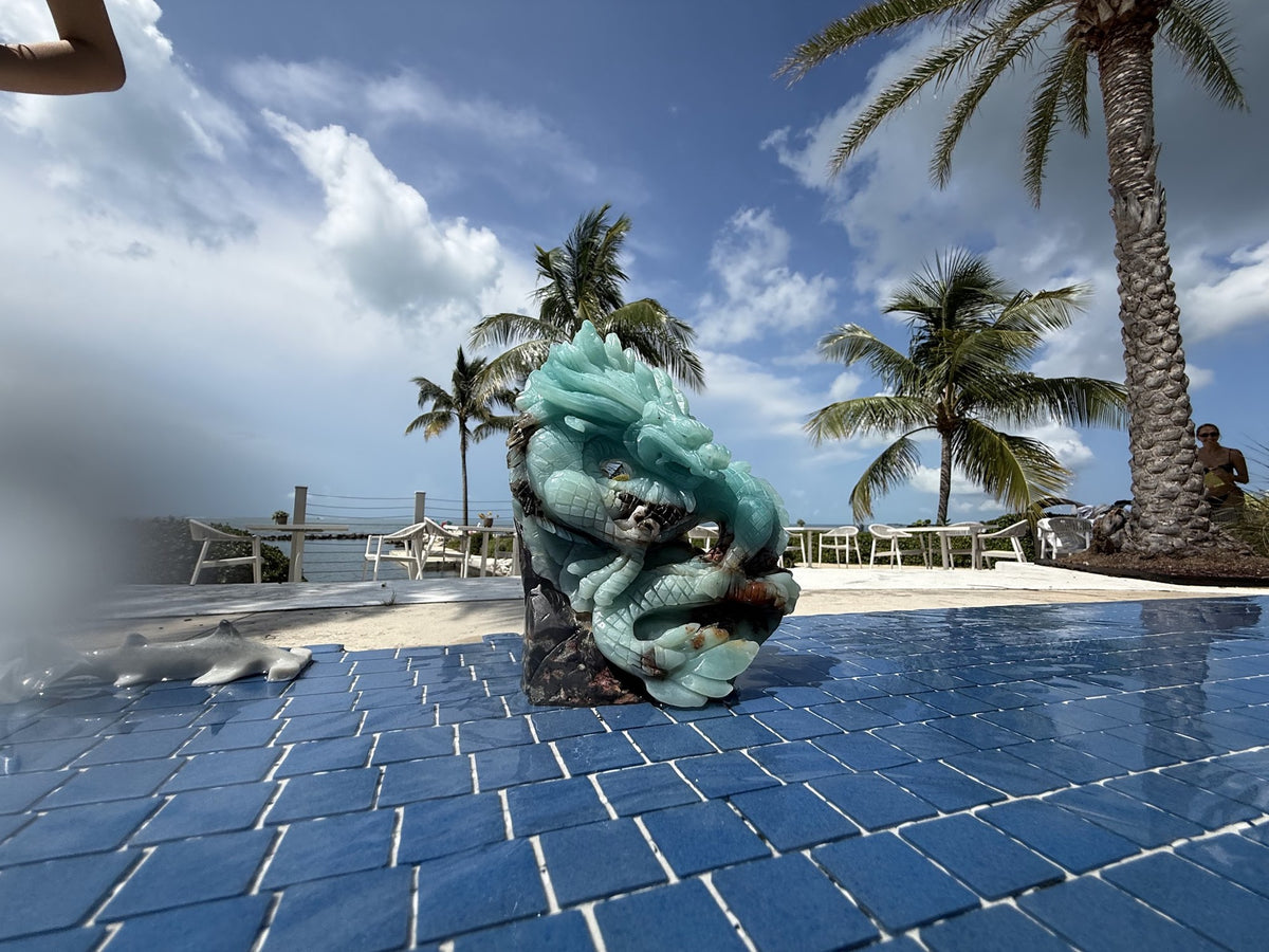 Caribbean Calcite underwater scene carving