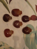 Red Gobi agate hearts set